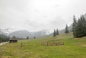 image91